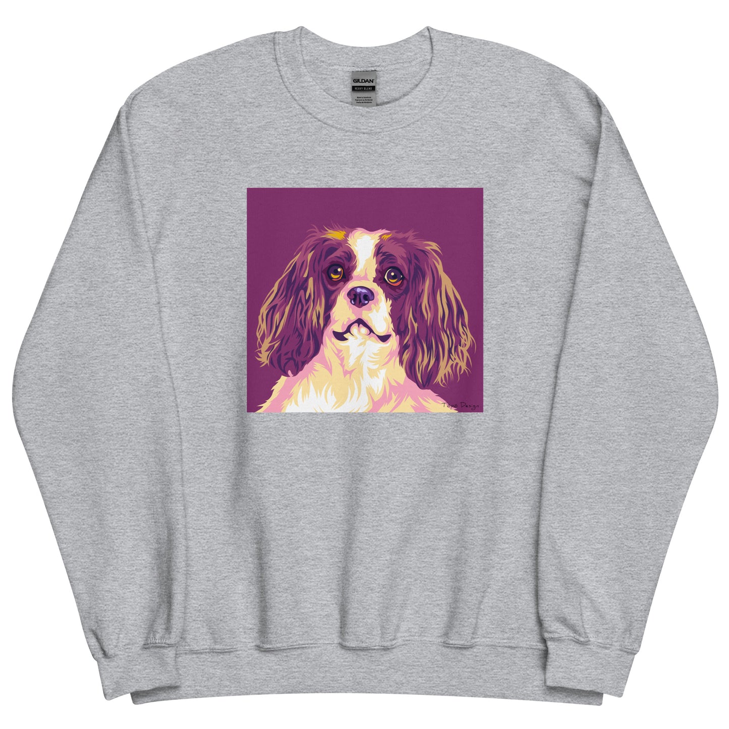 Cavalier kingcharlesinspanieli Collegepaita, Pop Art